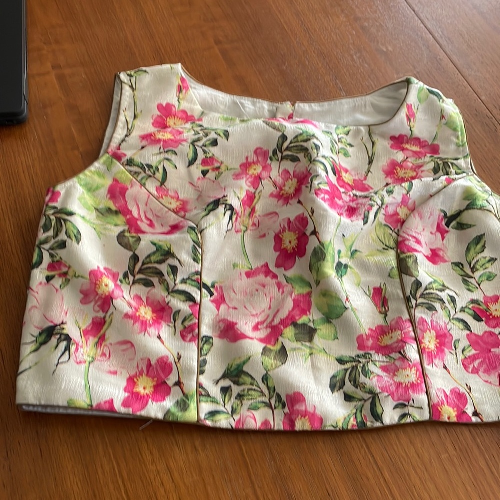 Sari blouse choli crop top Indian Bollywood